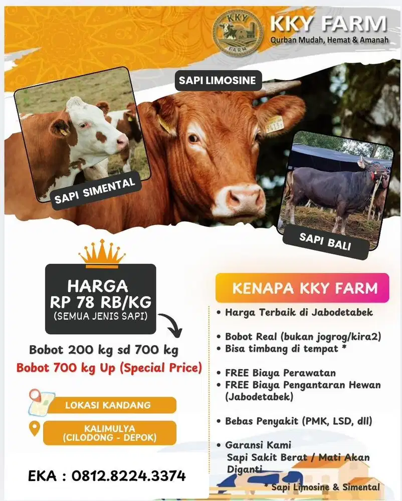 Jual hewan Qurban idul Adha
