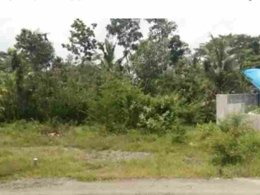 Kalilom Lor Kedinding Tengah