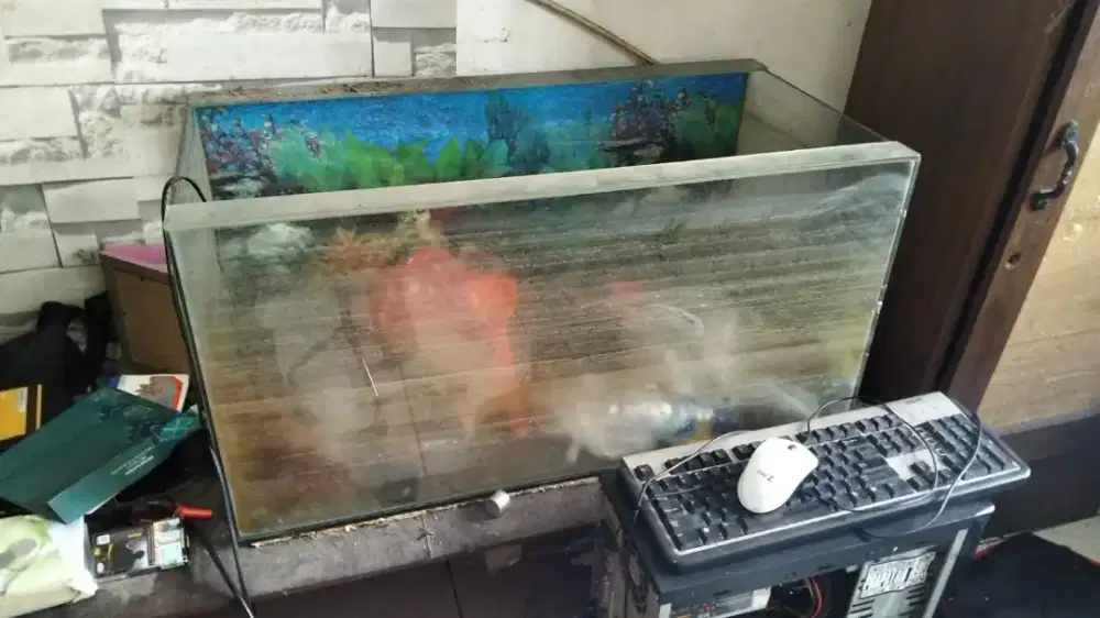 Aquarium besar ready