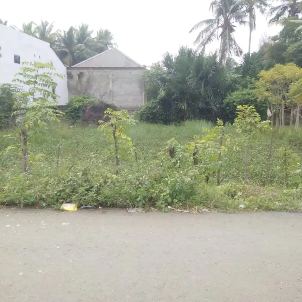 Tanah 340 meter dekat kantor Samsat dan Kejati batoh