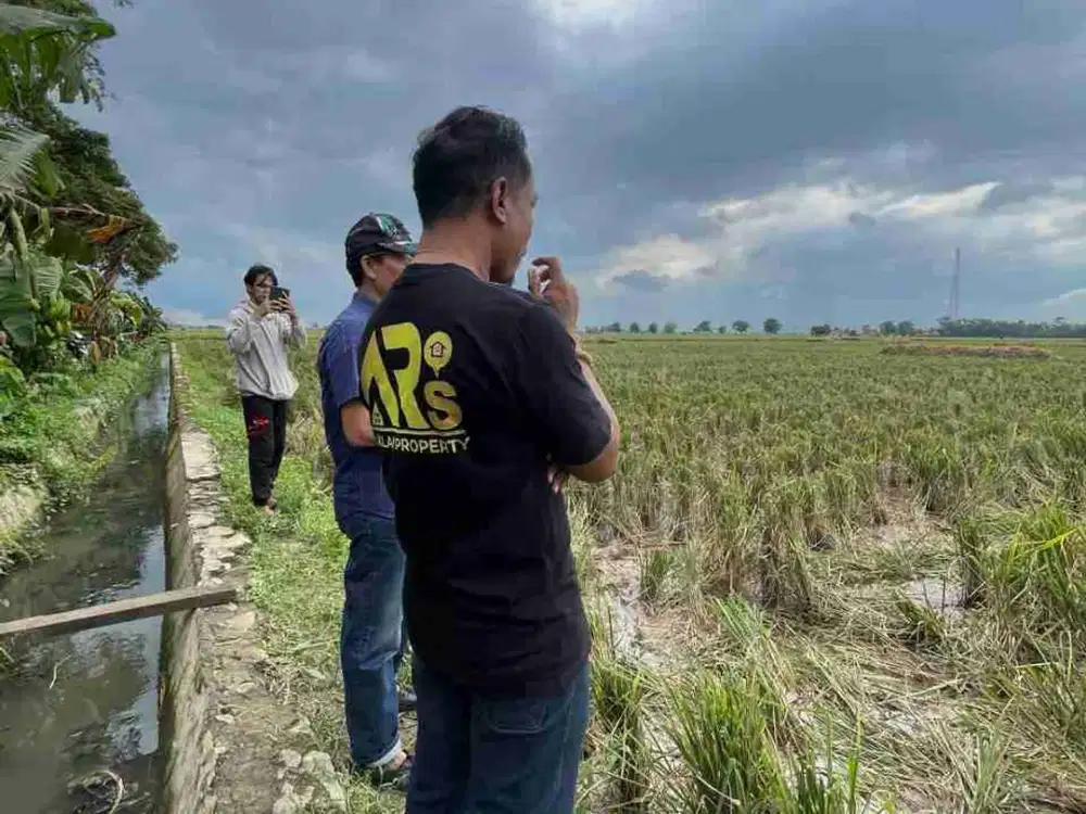 Sawah Dijual Luas 7550+7170 m Harga Rp 85rb/m