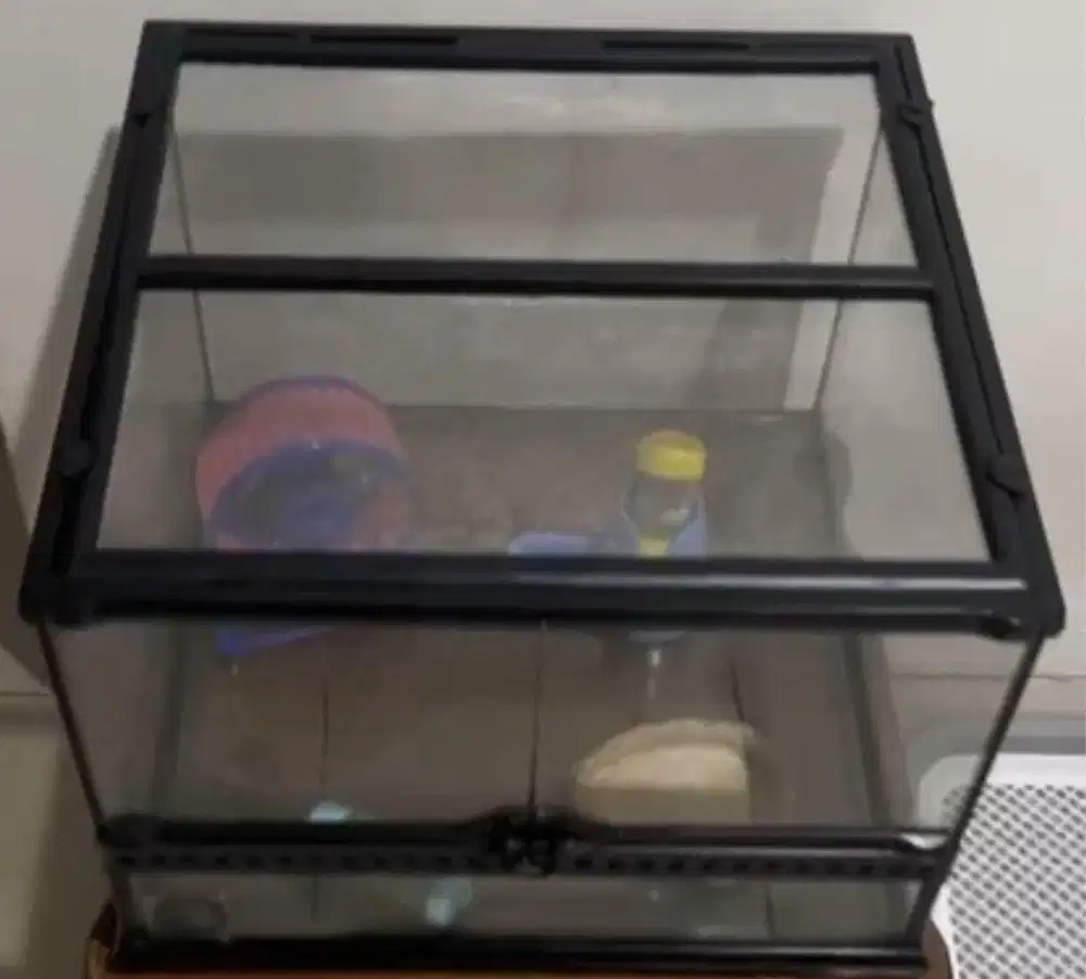 Terarium kaca ExoTera