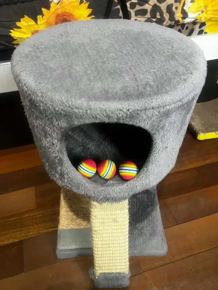 Rumah Kucing / Tempat Bermain Kucing