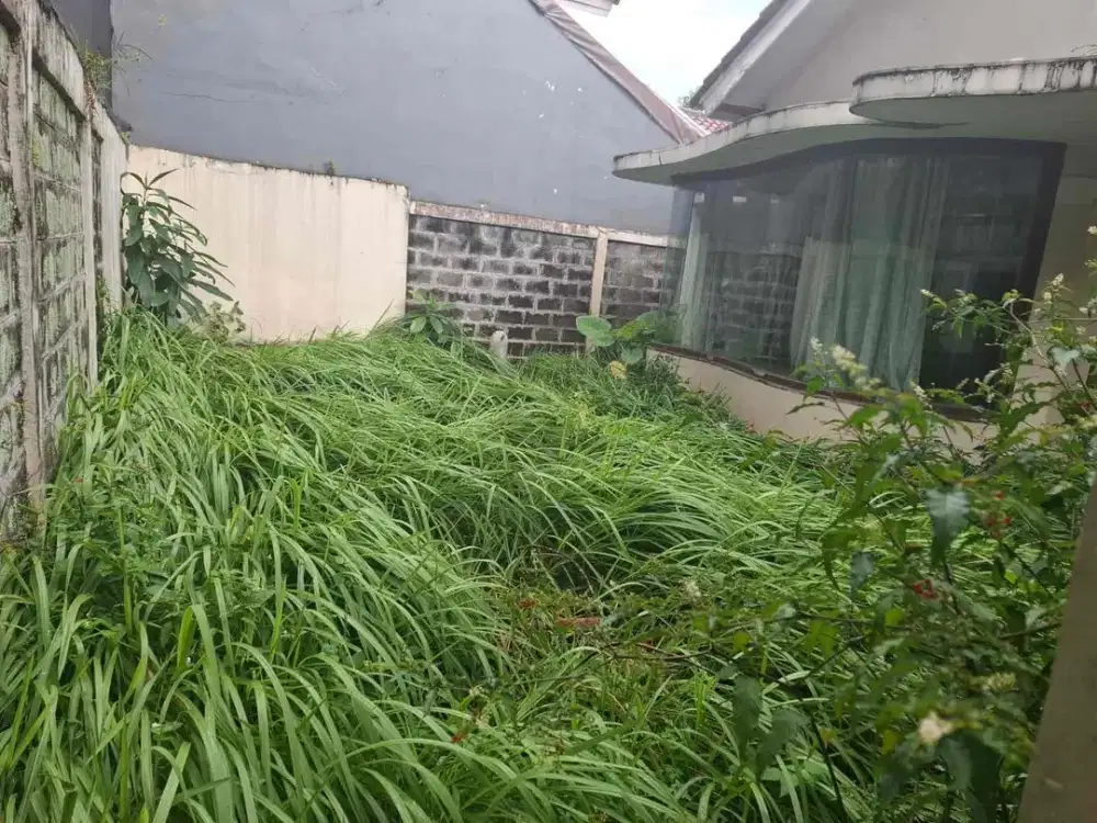 Dijual Murah Rumah Tua Busuk Di Puri Bintaro Jaya Sektor 9 Luas 207 meter Nego BU