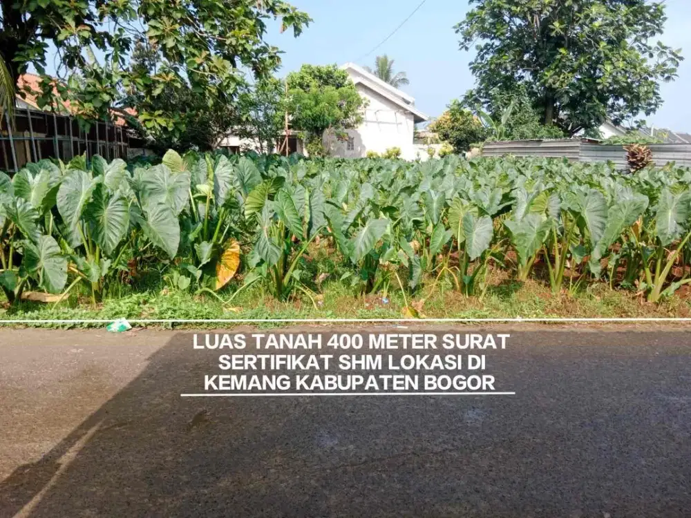 TANAH MURAH LETAK STRATEGIS DI KECAMATAN KEMANG KABUPATEN BOGOR