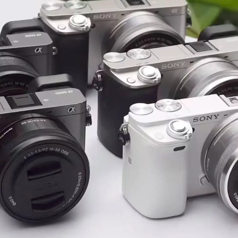 KAMERA SONY A6000 ( DI CARI UNTUK DI BELI