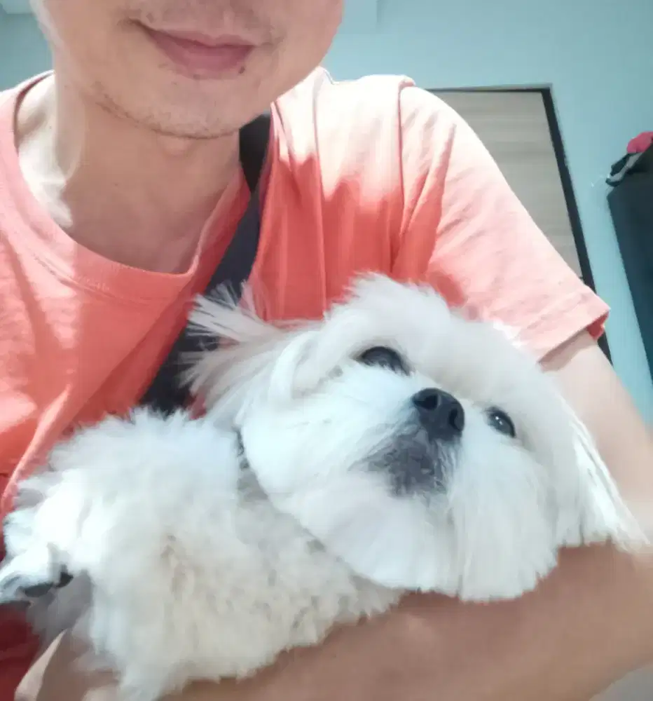 Mencari pekerjaan yg ngak halal