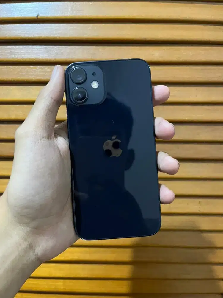 IP 12MINI 256GB INTER HP + CAS