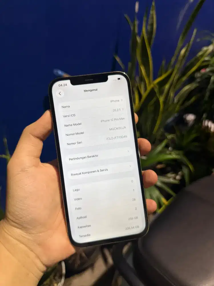 iPhone 12 Promax 256gb