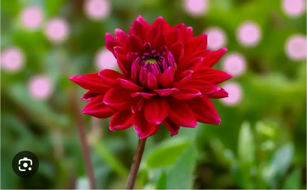 Dibutuhkan ART laki2 nginep