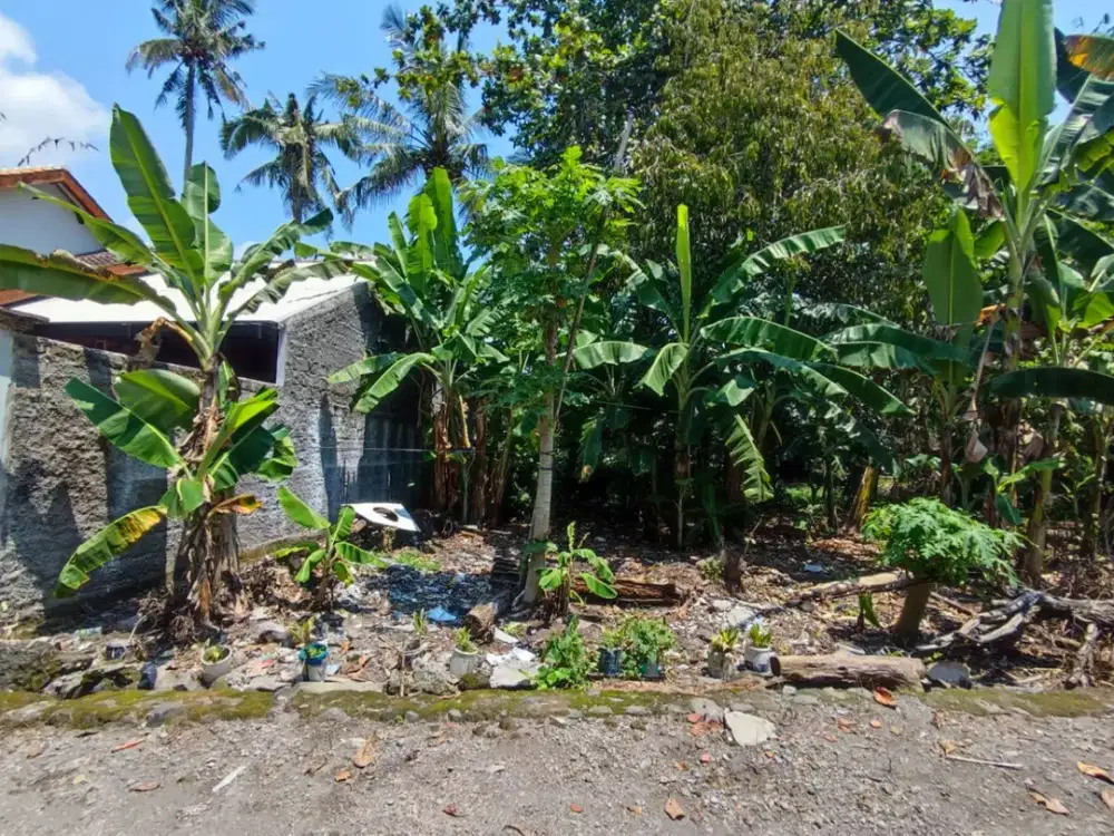 Dijual Tanah Murah Utara Pasar Rejodani, Akses Mobil – Siap Bangun!