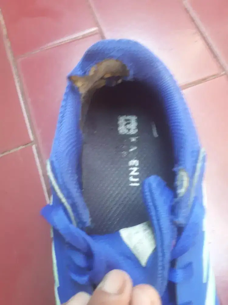 Mahar sepatu adidas galaxi 6 ori