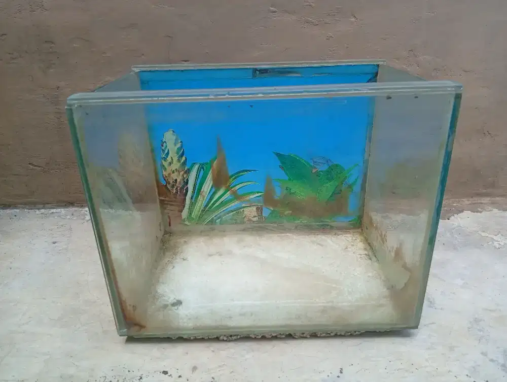 Jual cepat aquarium set size sedang dang kecil