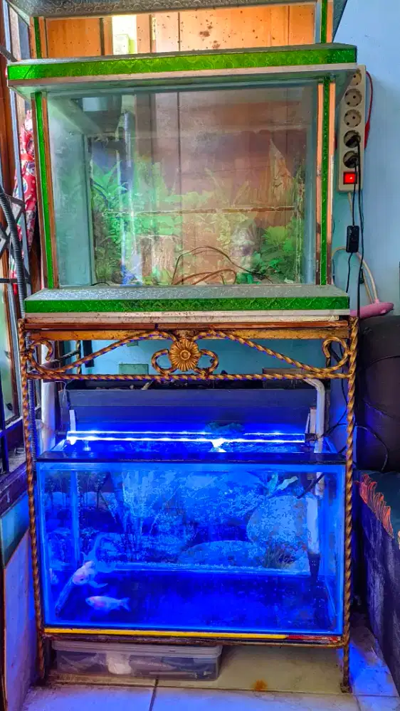 Aquarium set bekas