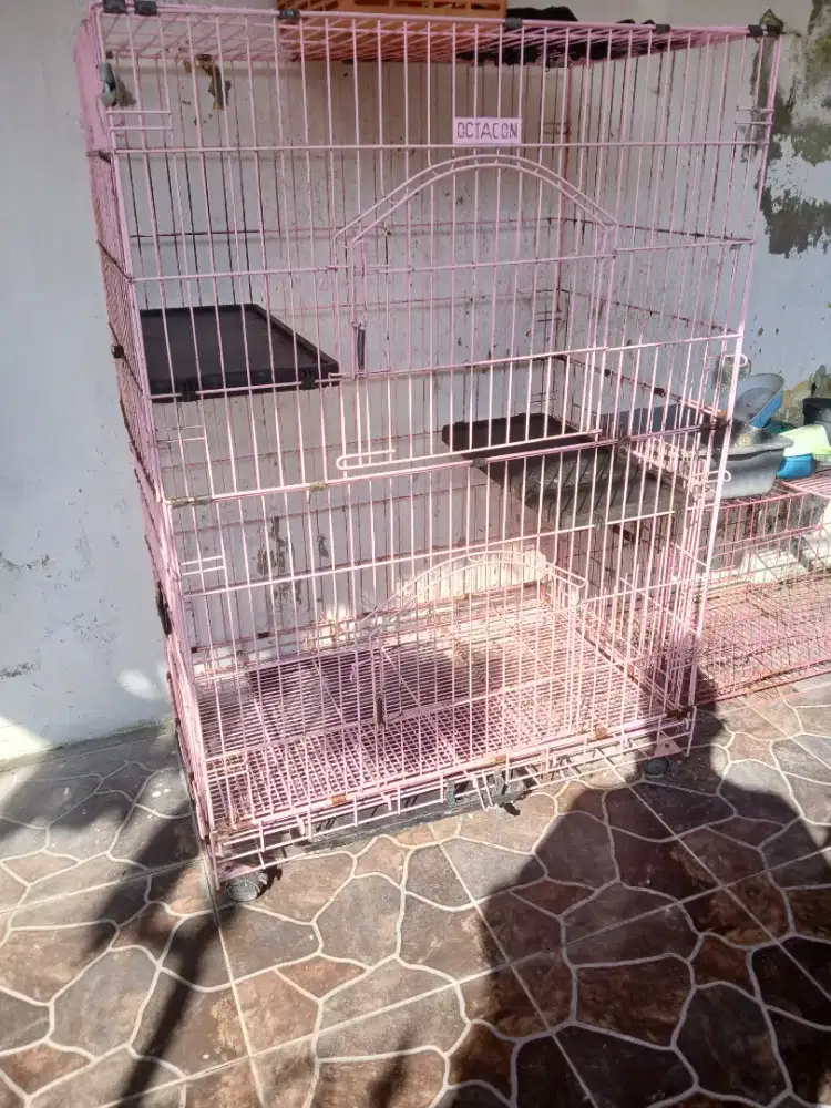Kandang kucing besar