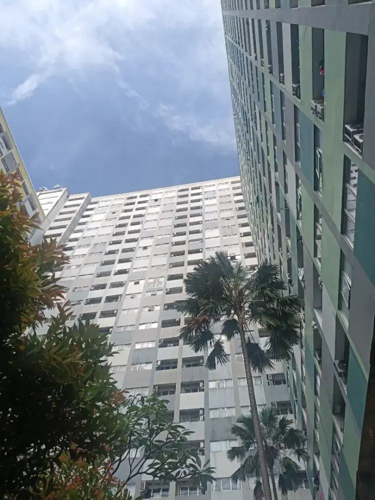 Dicari tenaga kerja laki laki