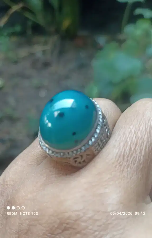 Bacan doko totol DELMATION lawas HQ