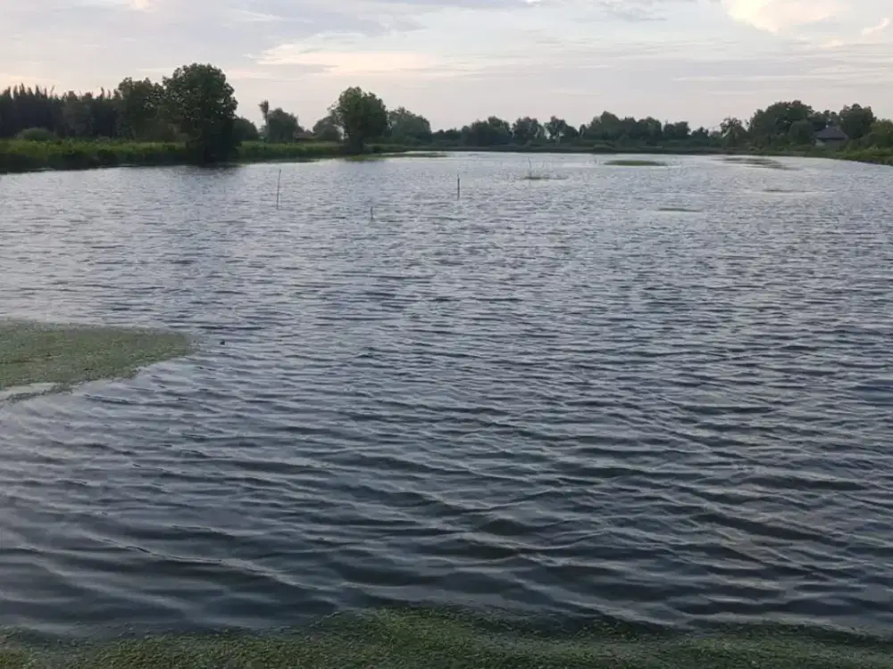 Termurah dijual Tambak dekat wisata pantai Ciparage