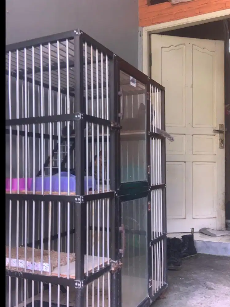 Kandang dan kucing