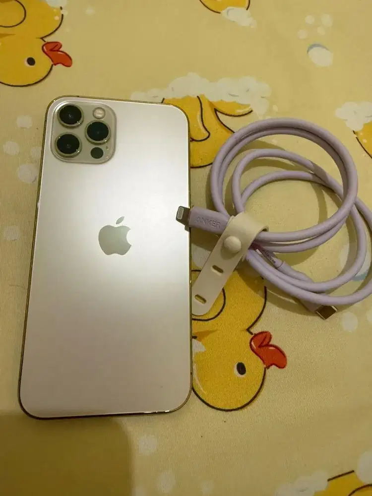 Iphone 12 pro 256GB inter