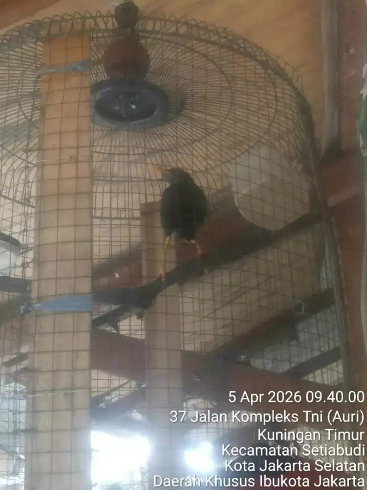 JUAL SANTAI SAMBIL NGOPI