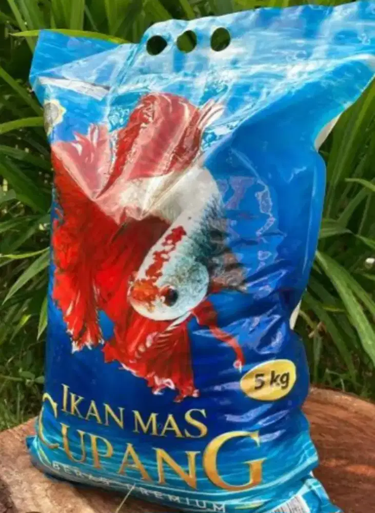 Dijual beras ikan cupang murah