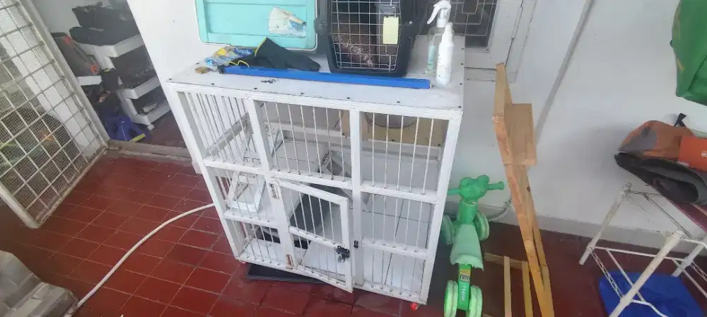 kandang kucing mulus