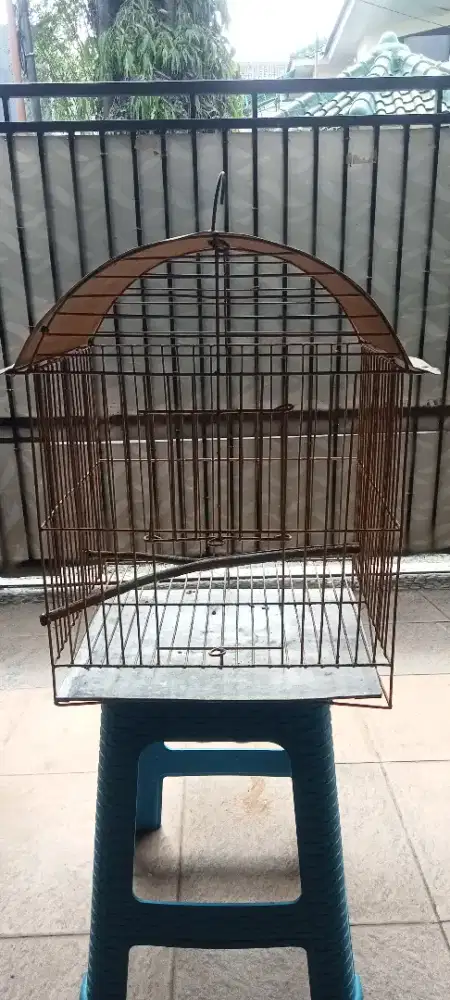 Burung KANDANG Cipo sirtu BurciL  dan Kandang Besi