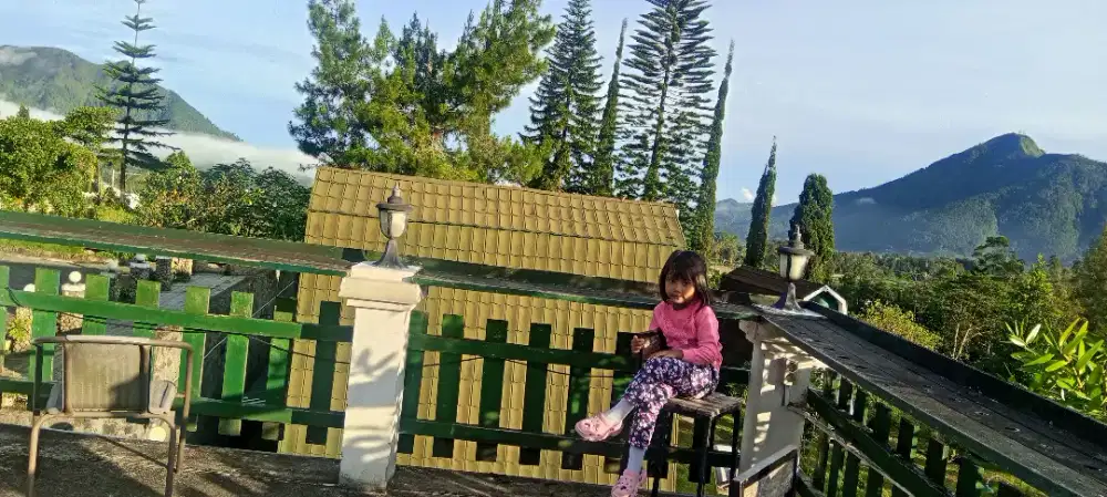 Art bersih bersih. Art bersih bersih masak. Semi sus baby