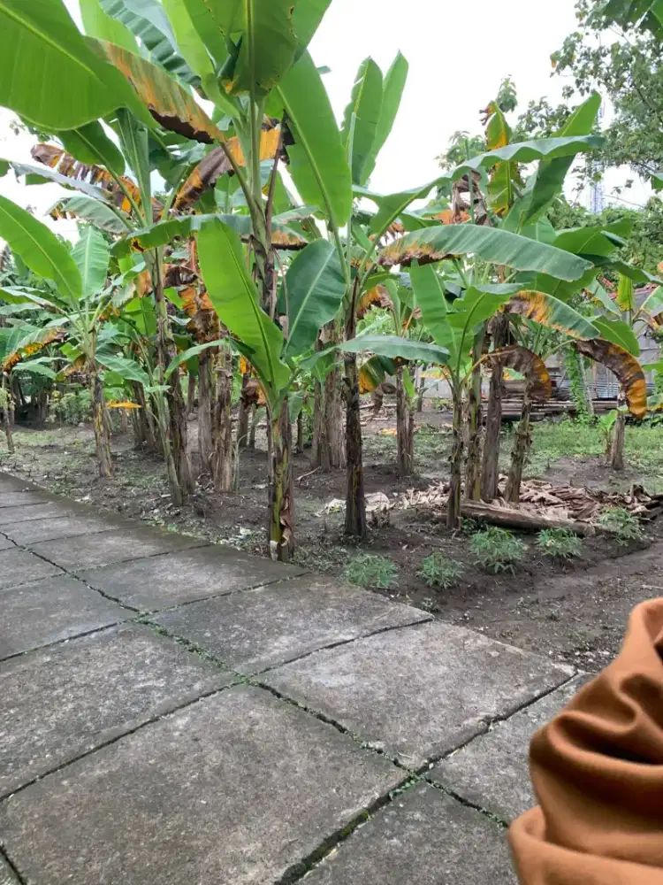 Jual Tanah Strategis