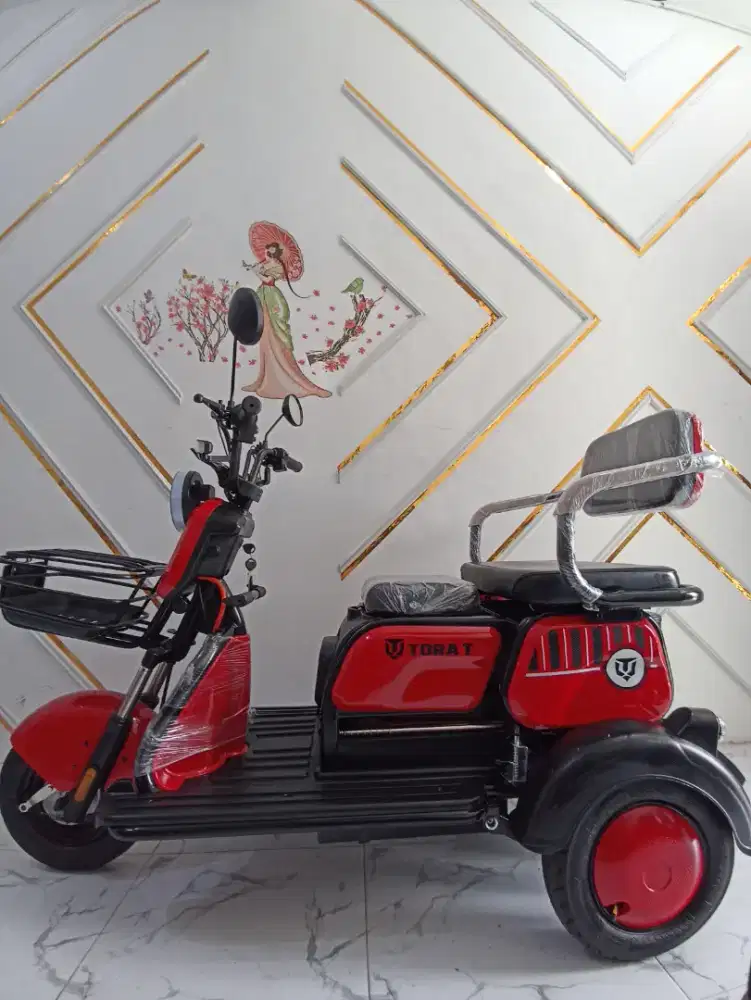 sepeda Listrik roda 3 Tora