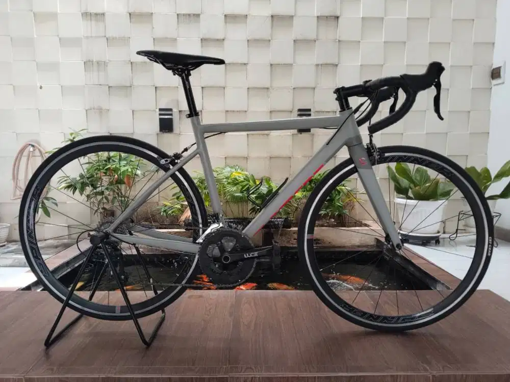 Roadbike Element Curved 700c