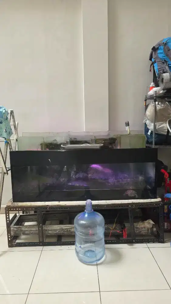 AQUARIUM ( 140cm x 60cm x 40cm ) + Kura-kura 5pc