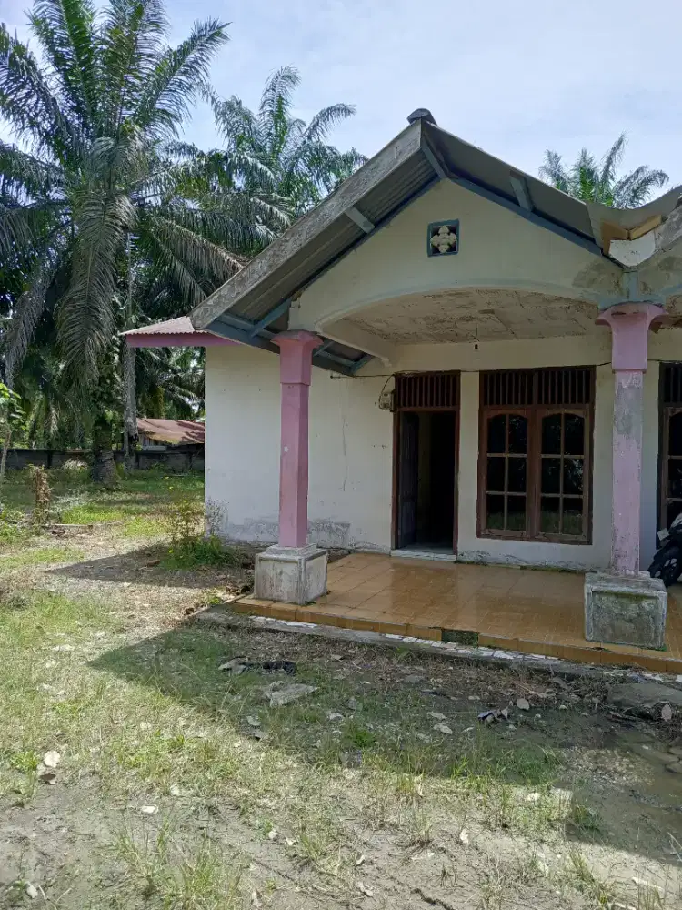 Disewakan Rumah di Sarolangun