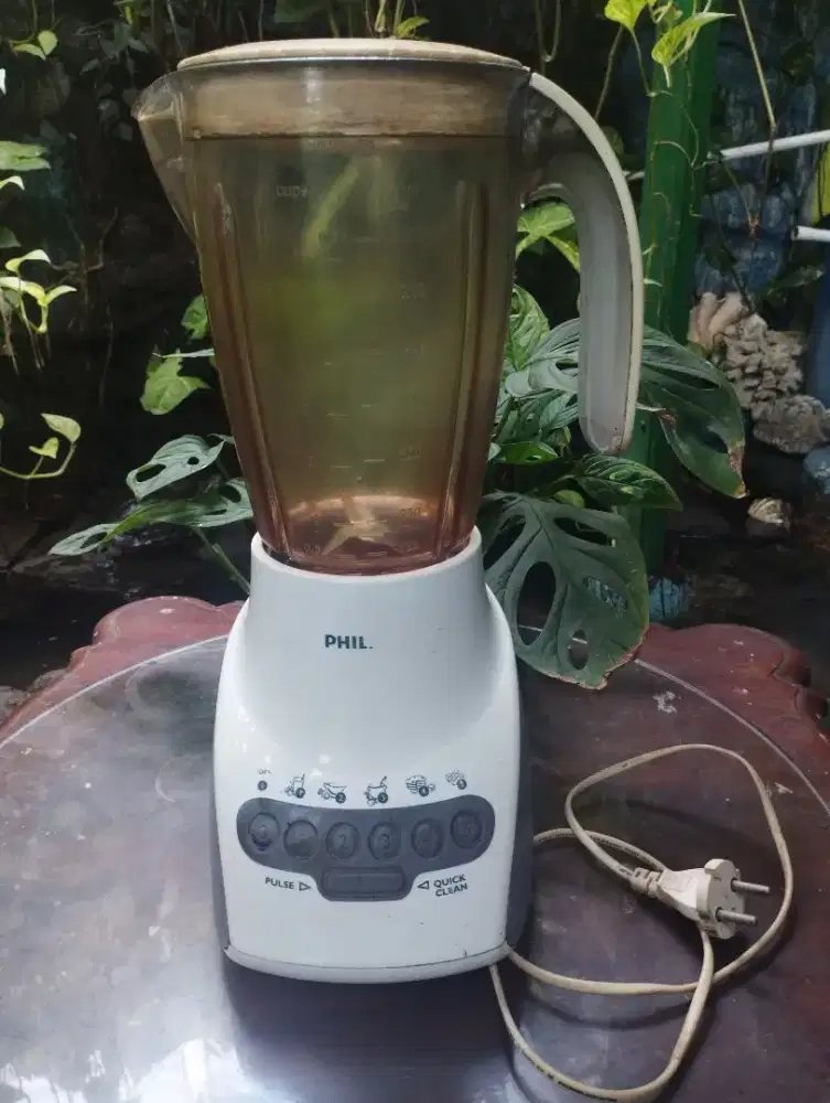Blender Philips