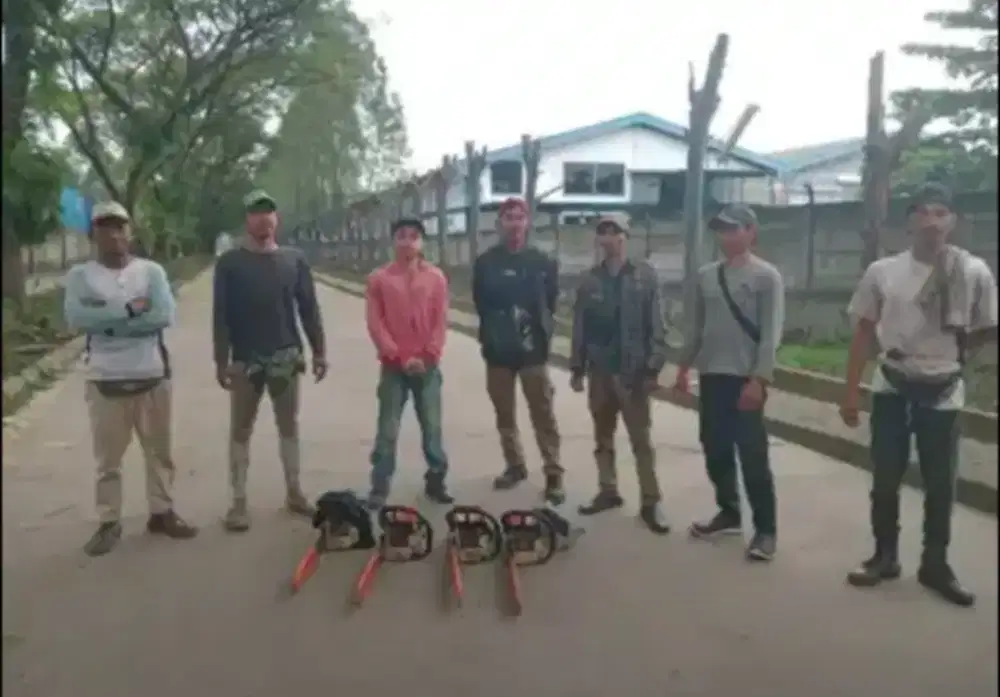 Jasa tebang pohon dan potong rumput