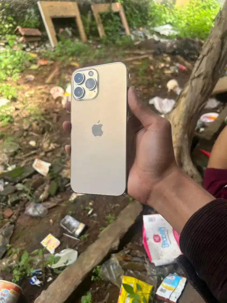 Ip 13 pro max inter allop