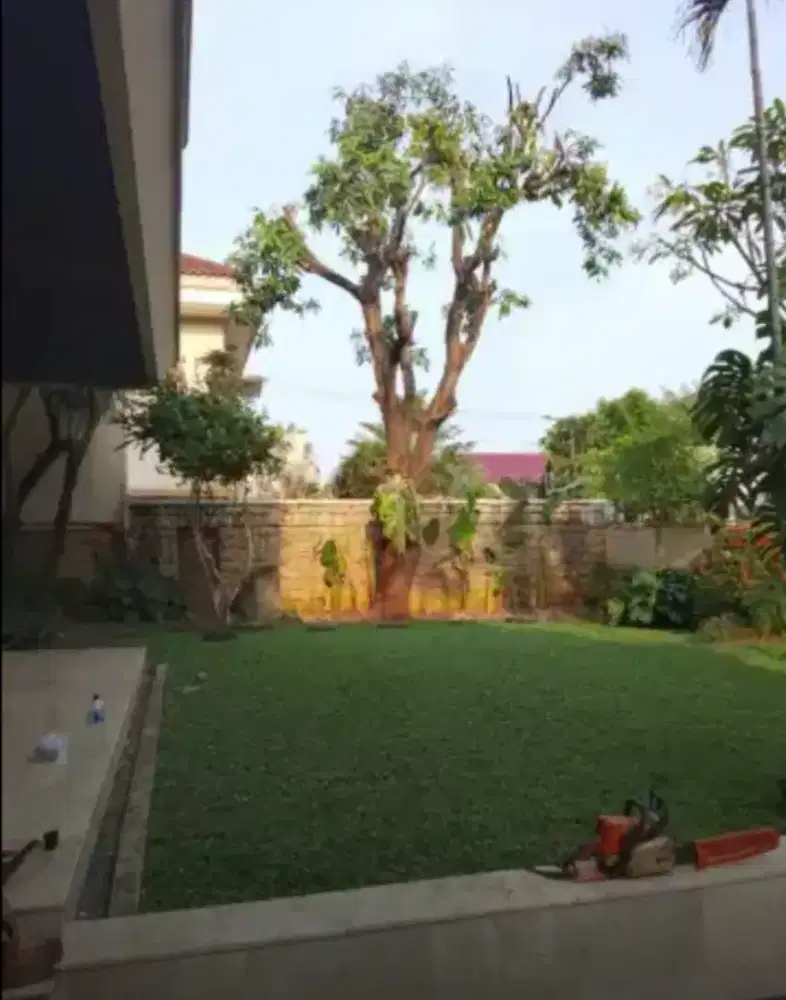 Jasa tebang pohon dan potong rumput