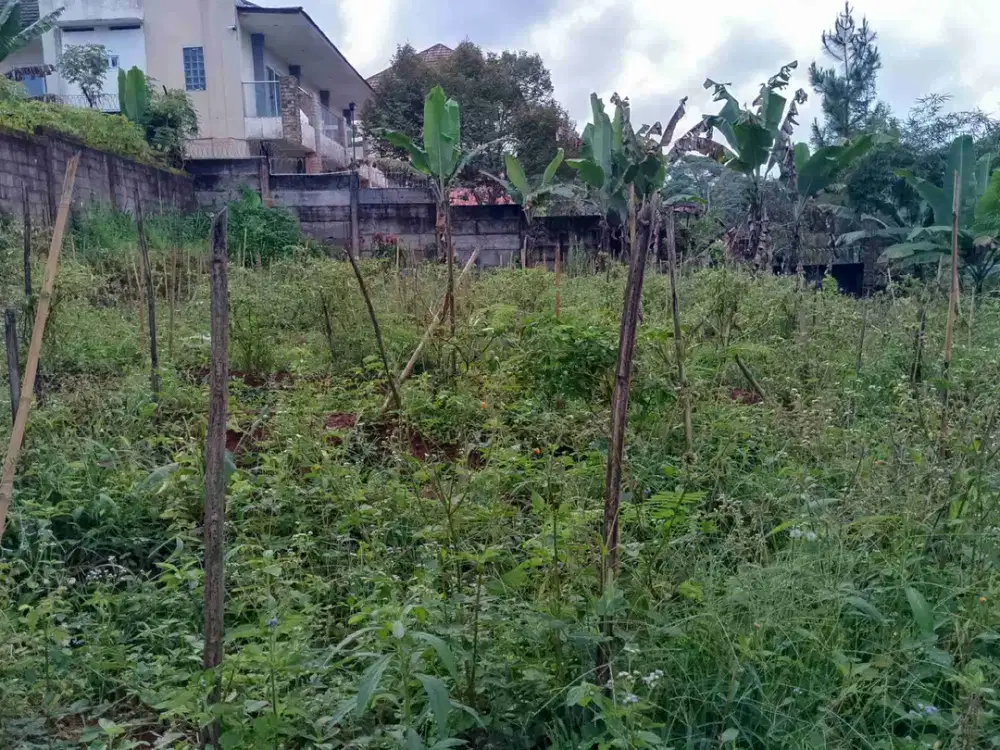 di jual tanah kebun shm siap bangun di gunung geulis golf rainbow hills