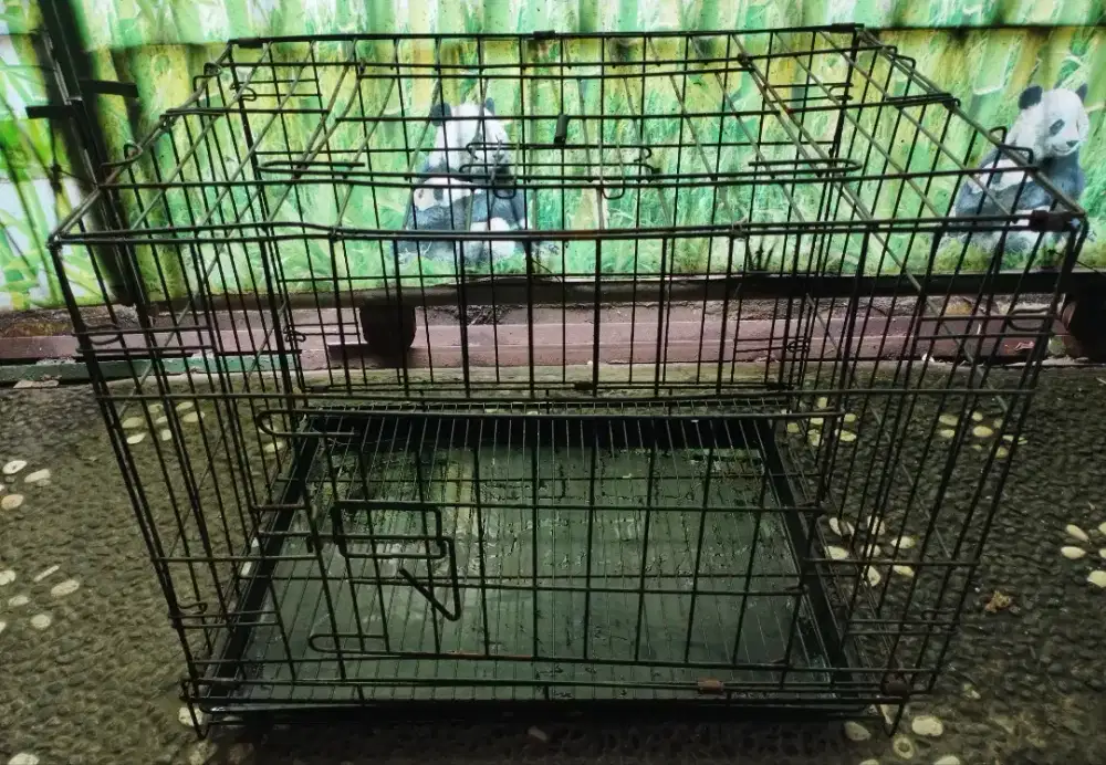 Kandang / sangkar besi persegi