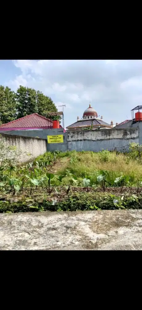 DIJUAL TANAH STRATEGIS – CIOMAS, BOGOR (LALADON)