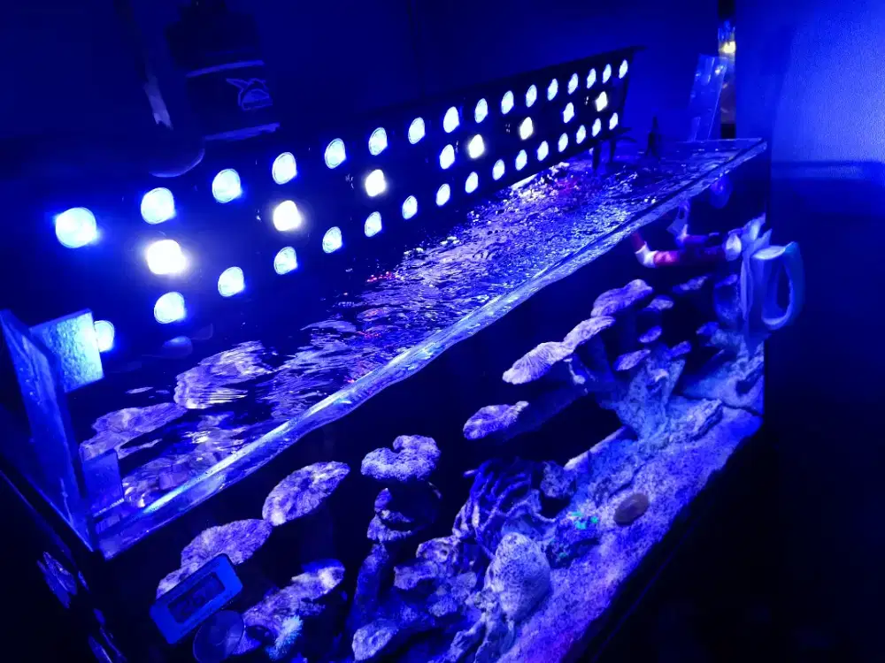 Lampu aquarium hpl
