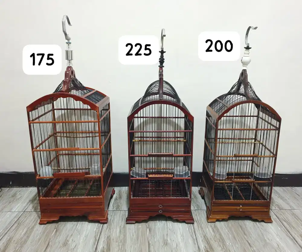 Sangkar kosan ebod & replika untuk burung blackthroat mozambik sanger