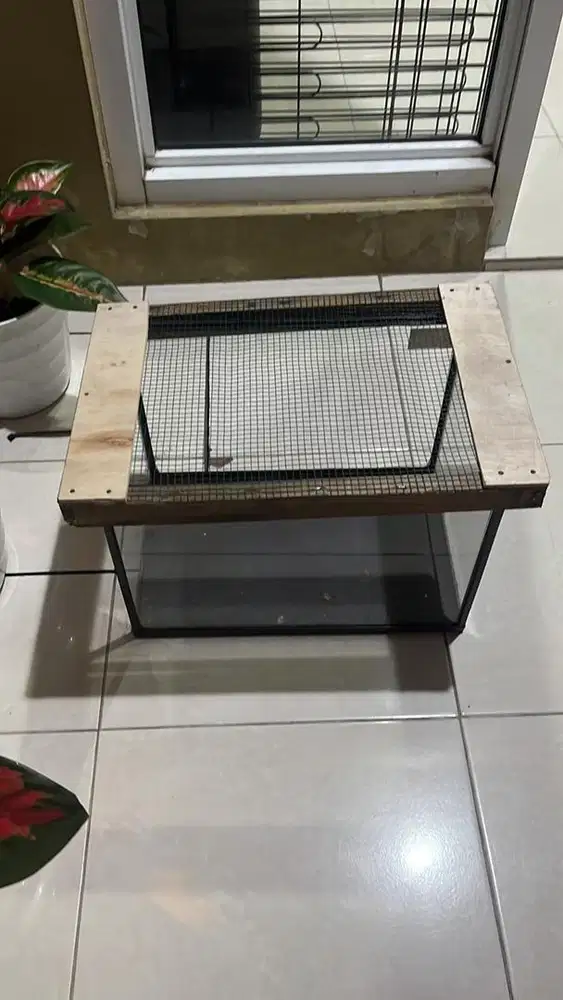 Nikita L cocoi reptile