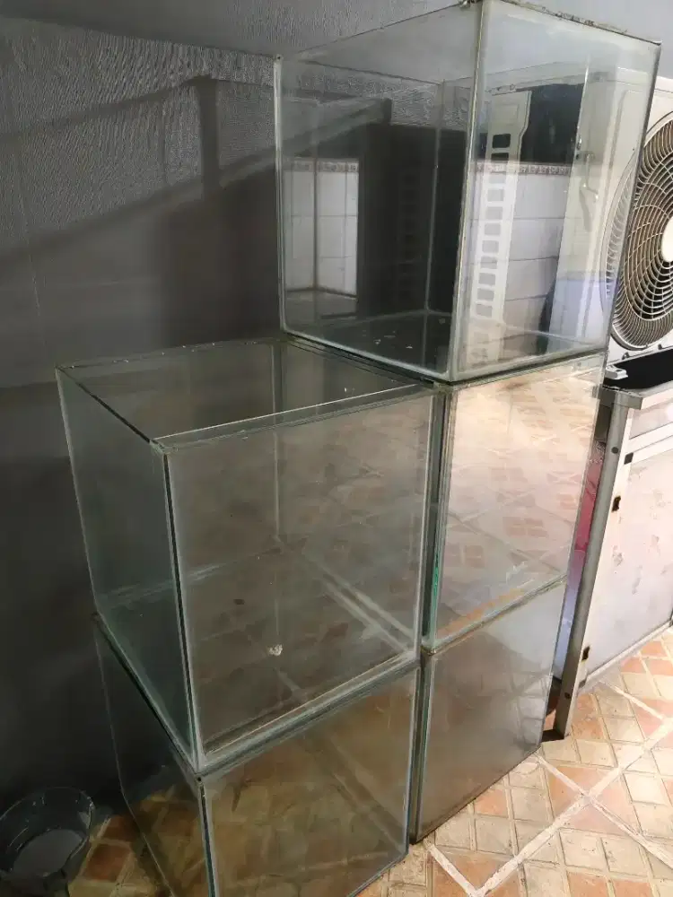 Aquarium all in 5 unit