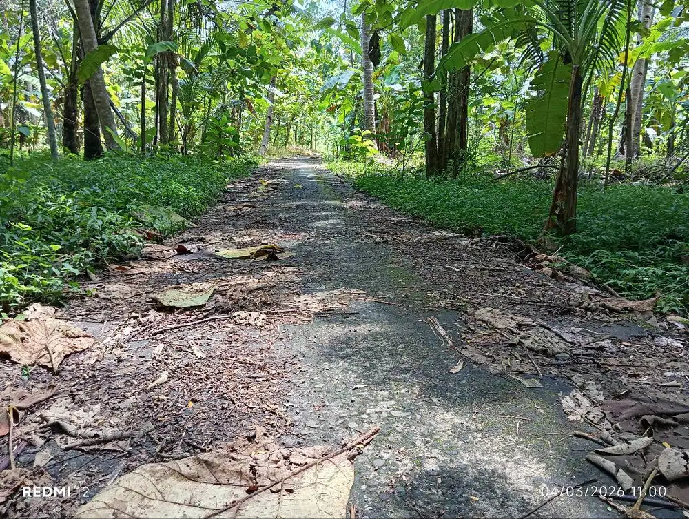 Tanah SHM Pekarangan 762 m2 Murah