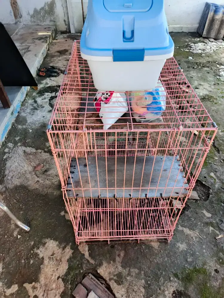 Kandang kucing tingkat dan keranjang