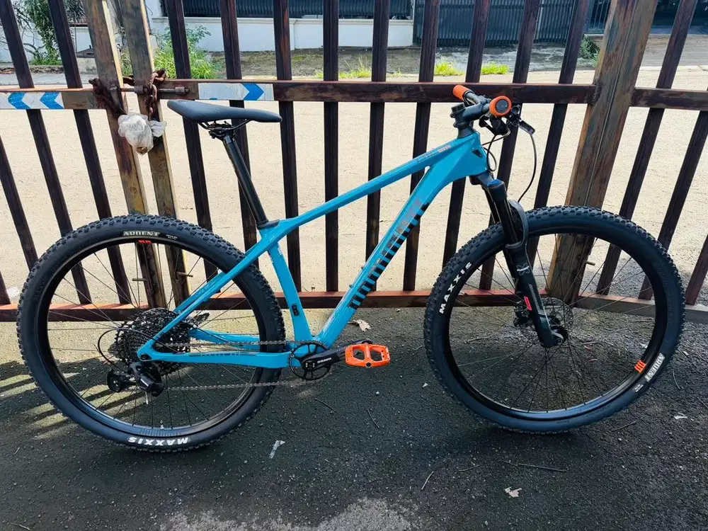 DOMINATE CXC Elite (Size M)