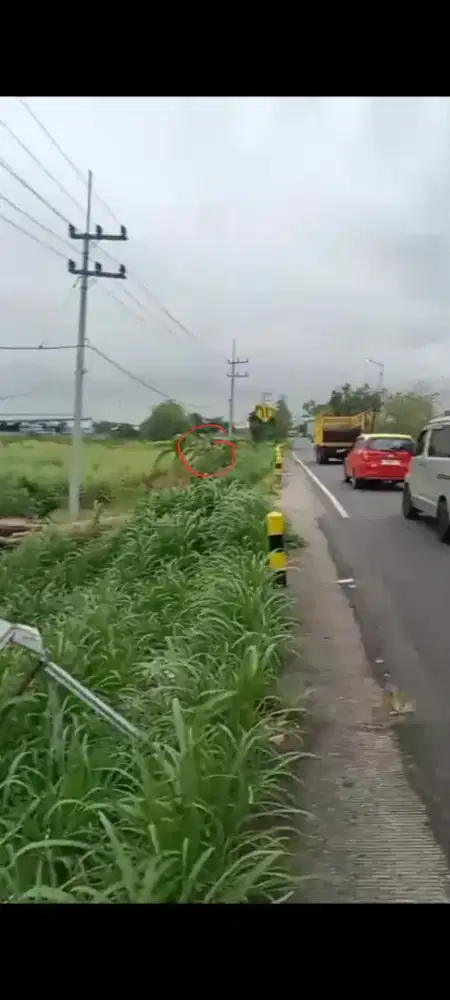 Dijual Tanah Industri di Japanan