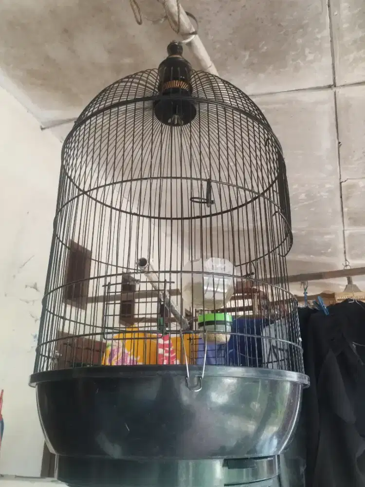 Kandang besi bulat besar